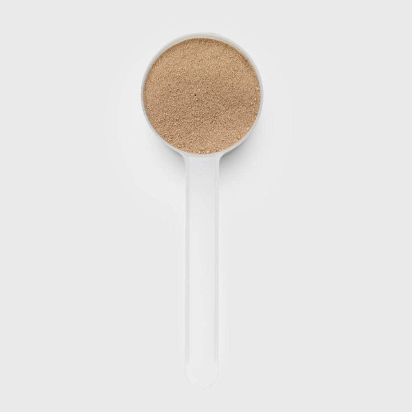 chocolate protein powder in plastic measuring spoon